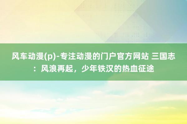 风车动漫(p)-专注动漫的门户官方网站 三国志：风浪再起，少年铁汉的热血征途