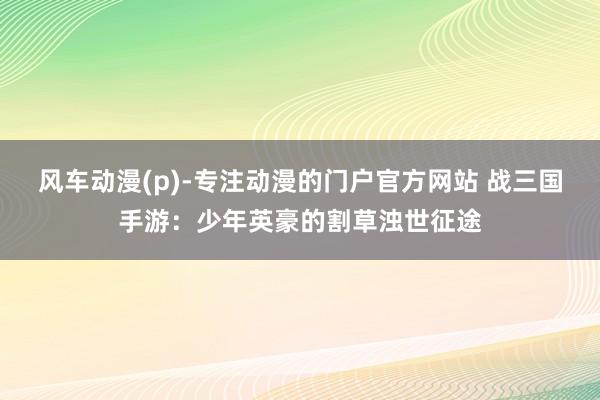 风车动漫(p)-专注动漫的门户官方网站 战三国手游：少年英豪的割草浊世征途