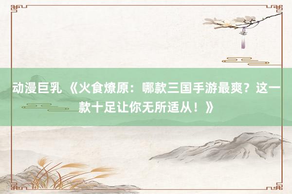 动漫巨乳 《火食燎原：哪款三国手游最爽？这一款十足让你无所适从！》