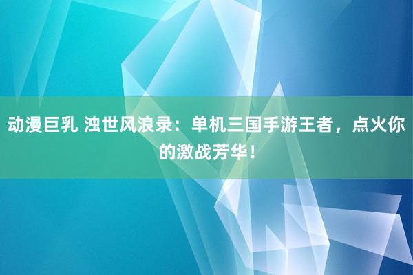 动漫巨乳 浊世风浪录：单机三国手游王者，点火你的激战芳华！