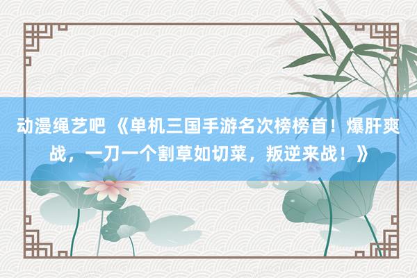 动漫绳艺吧 《单机三国手游名次榜榜首！爆肝爽战，一刀一个割草如切菜，叛逆来战！》