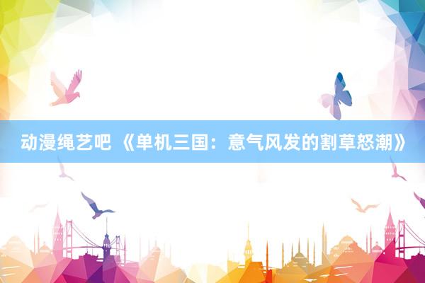 动漫绳艺吧 《单机三国：意气风发的割草怒潮》